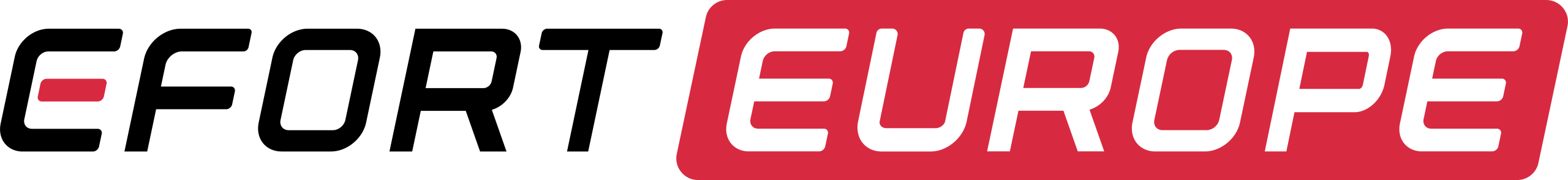 Efort Europe S.r.l